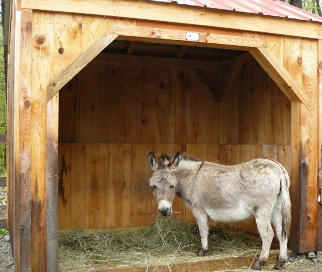 Run In shed ~ Custom sizing for mini donkeys - Rustic 