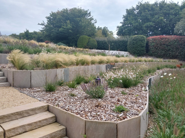 Jardin en paliers contemporary-garden