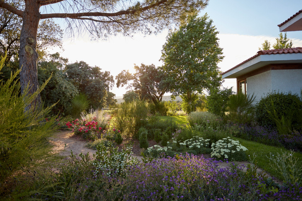 Свежая идея для дизайна: участок и сад - отличное фото интерьера