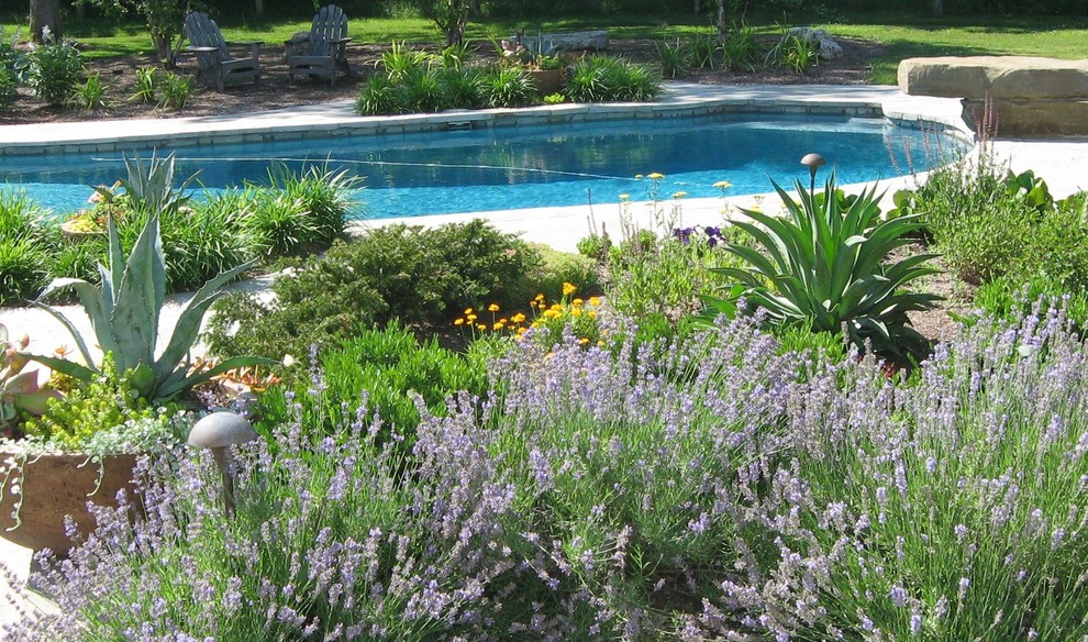 Example of a mountain style pool design in Philadelphia