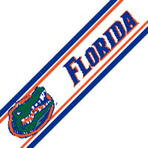 NCAA Florida Gators College Wallpaper Accent Border Roll