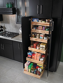 Cabinets in Black