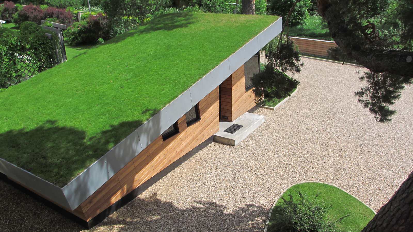 Дом в соснах у пруда