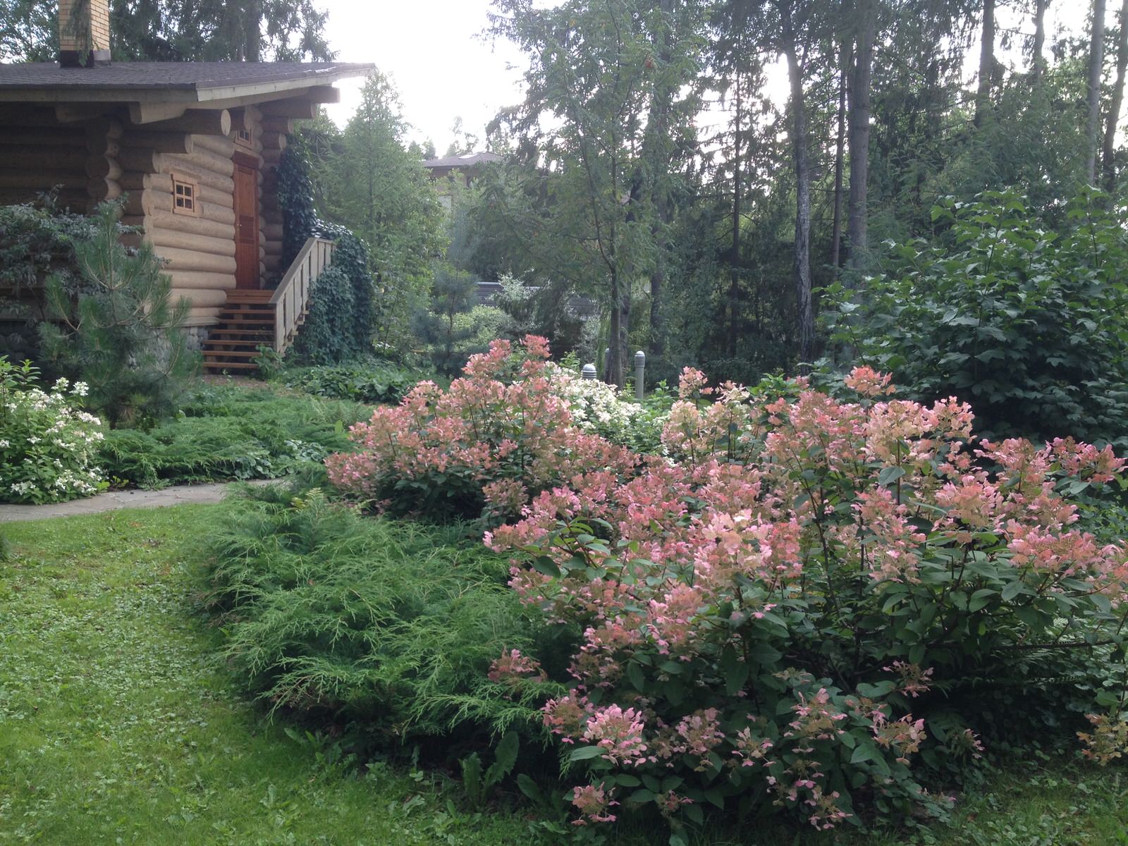 Лесная жизнь