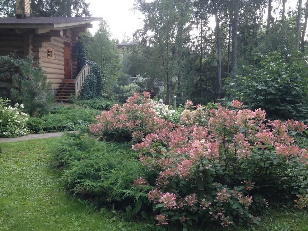 Лесная жизнь