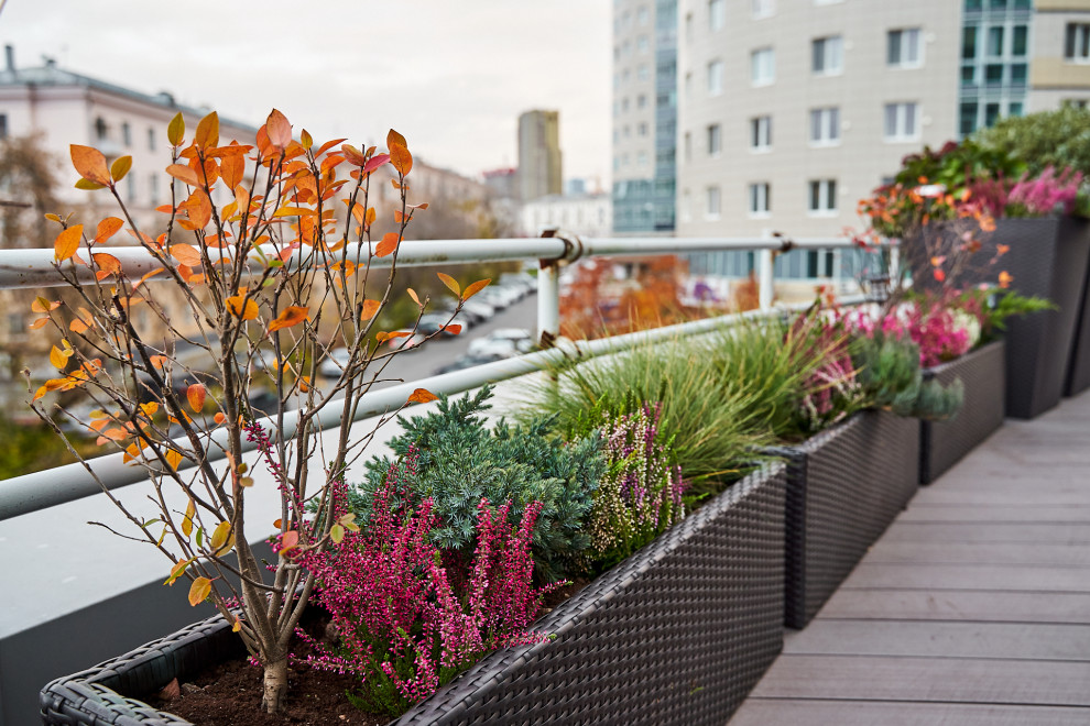 Озеленение террас