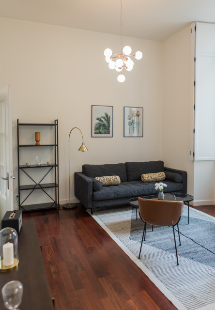 Le Salon transitional-living-room