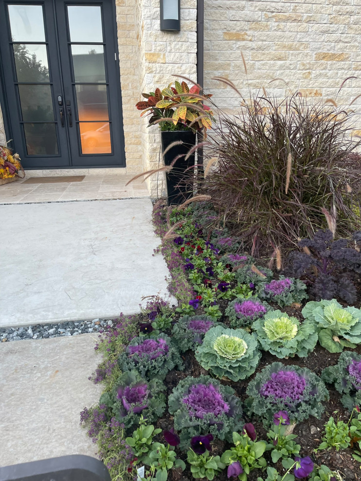 Dallas Residential Landscape