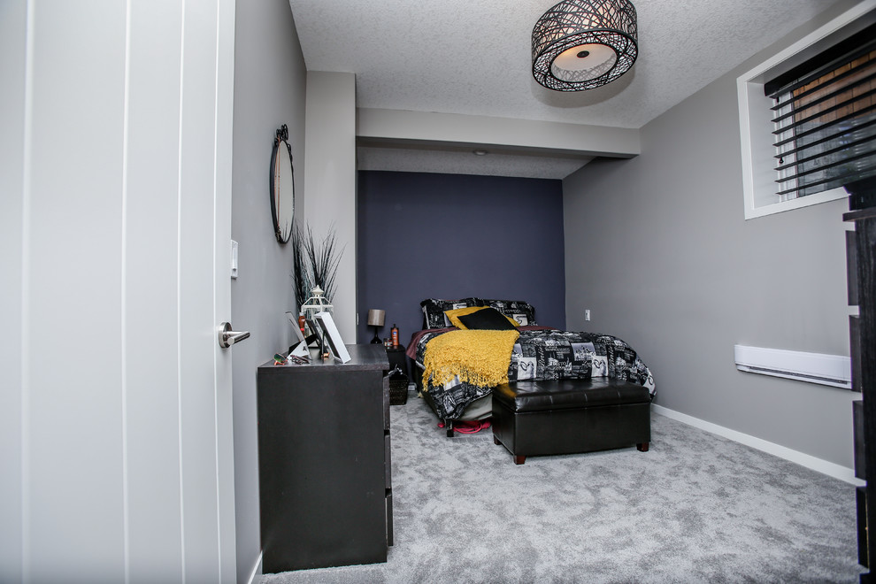 Transitional basement photo in Calgary