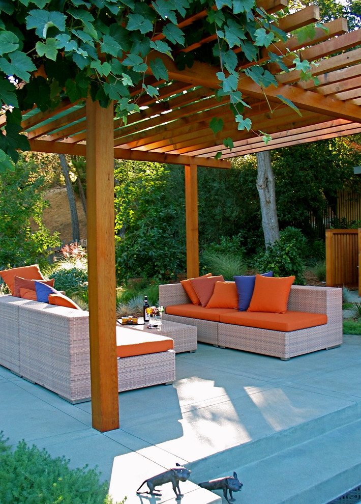 Contemporary patio in San Francisco with concrete slab and a pergola.