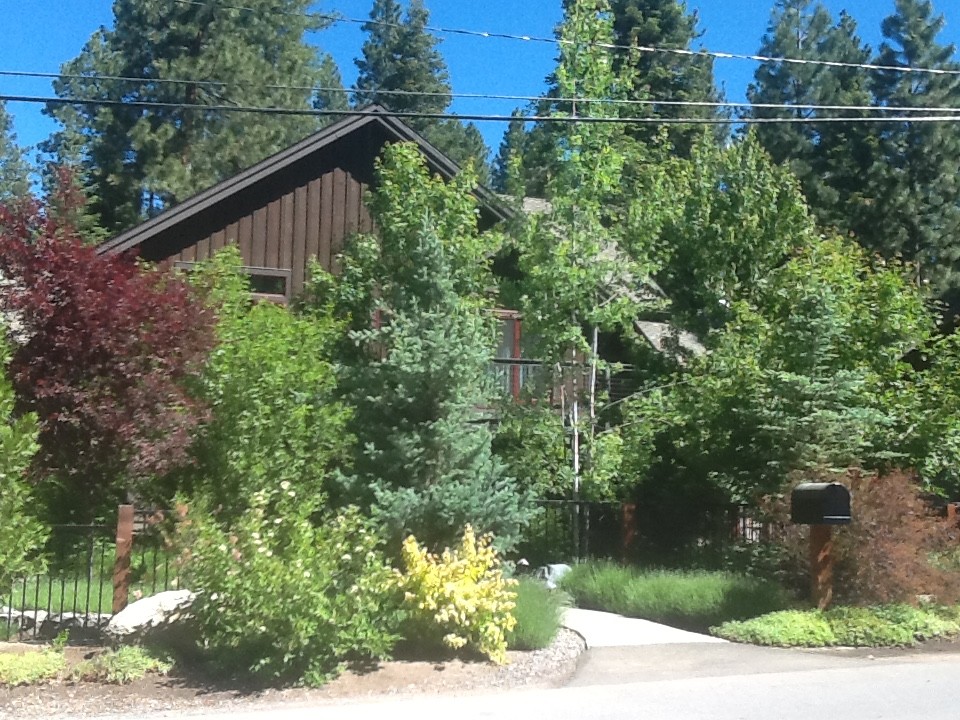 Front Yard in Incline Village, NV