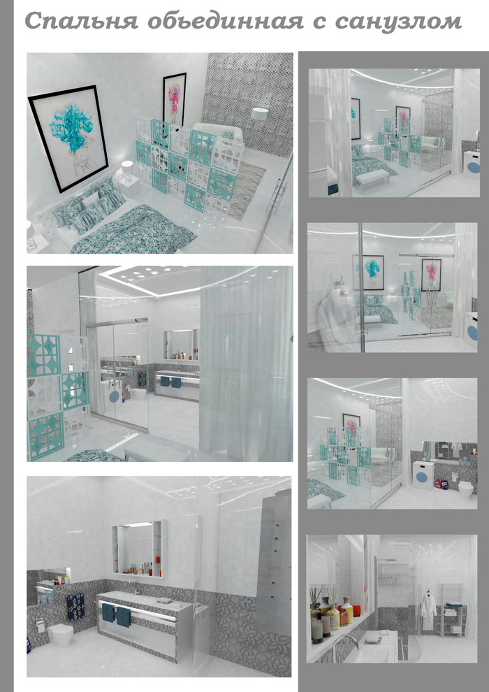 Спальня объединенная с санузлом