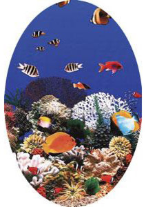 Pool Liner, 12' x 17' Oval Ocean Reef Printed