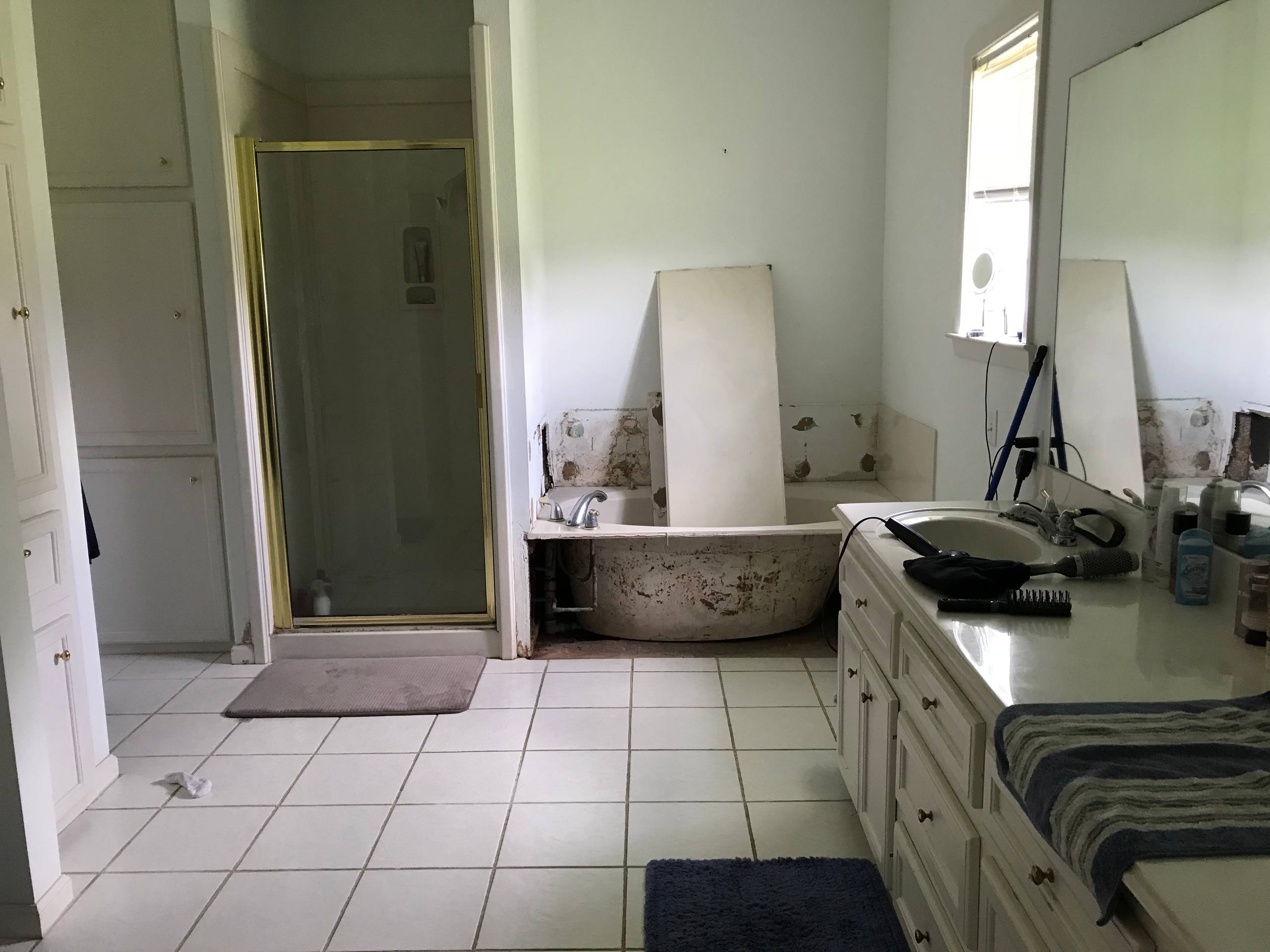 Finley Project (before)