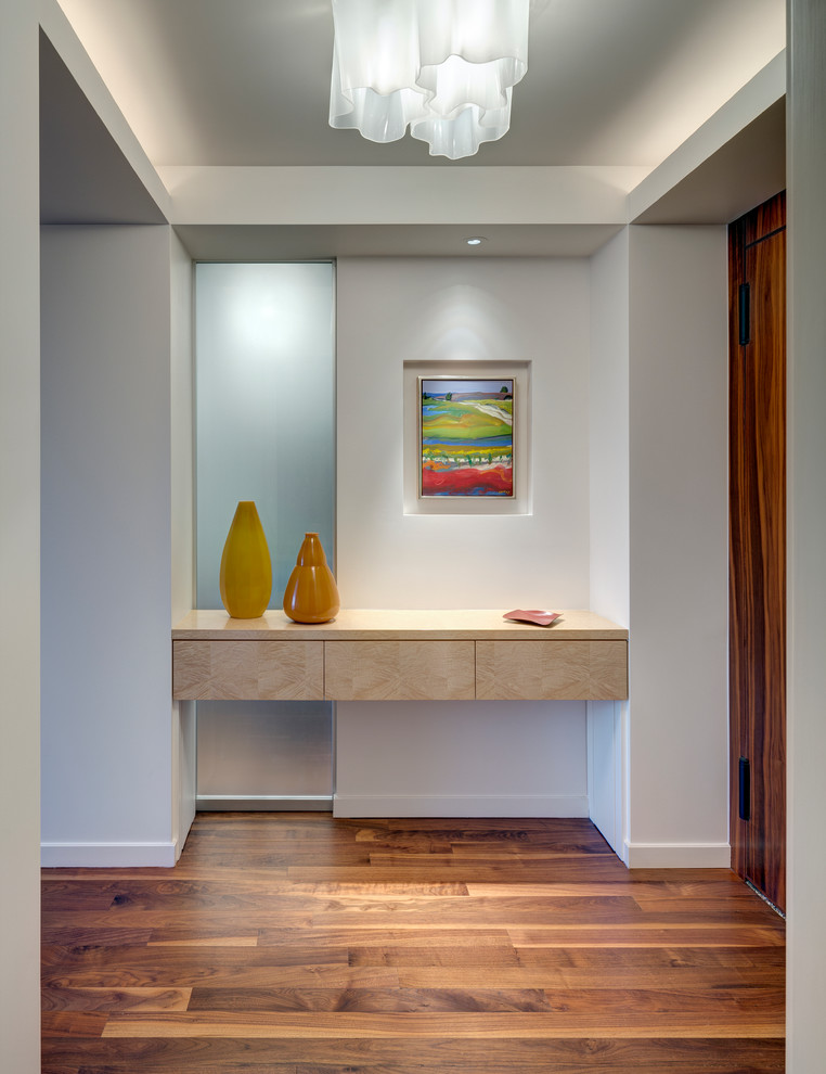 This is an example of a mid-sized contemporary entryway in New York with white walls, dark hardwood floors, a single front door, a dark wood front door and brown floor.