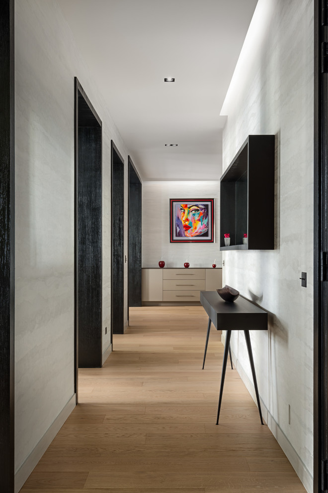 Photo of an expansive contemporary entry hall in Paris with grey walls, medium hardwood floors and brown floor.