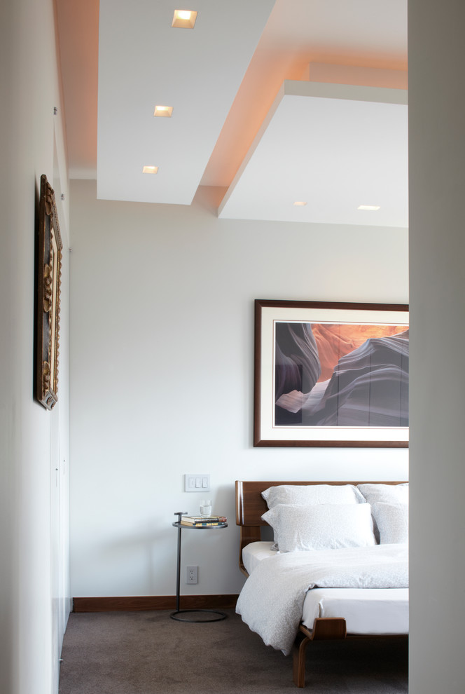 Mid-sized contemporary master bedroom in New York with white walls, carpet, no fireplace and brown floor.