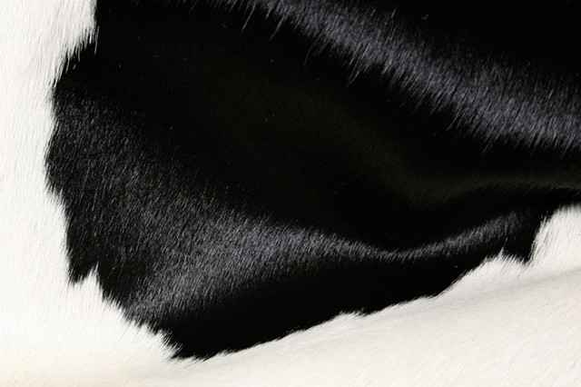 Natural Kobe Cowhide Rug, 6'x7', Black and White