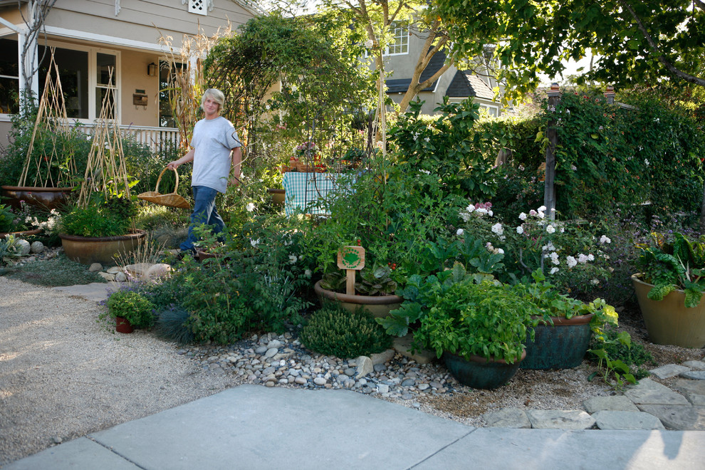 Idée de décoration pour un jardin en pots avant tradition l'été avec du gravier.