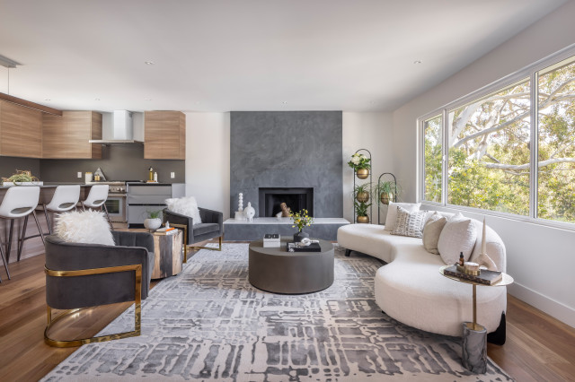 22 Viscaino contemporary-living-room
