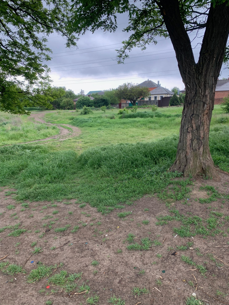 Баса отдыха. Кумжинской роща, берег Дона