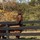 jennifer_anderson8384