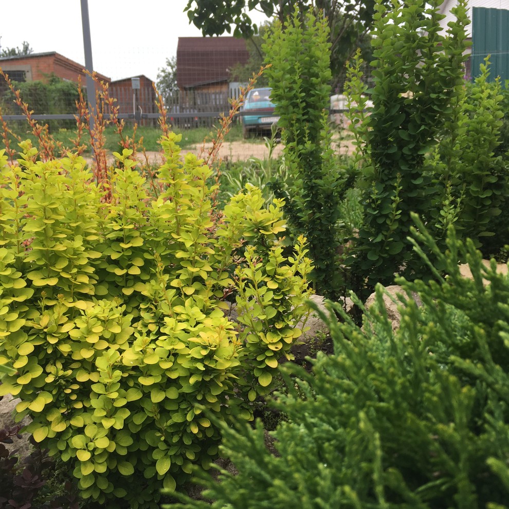 Реставрация старинного сада в калужской области