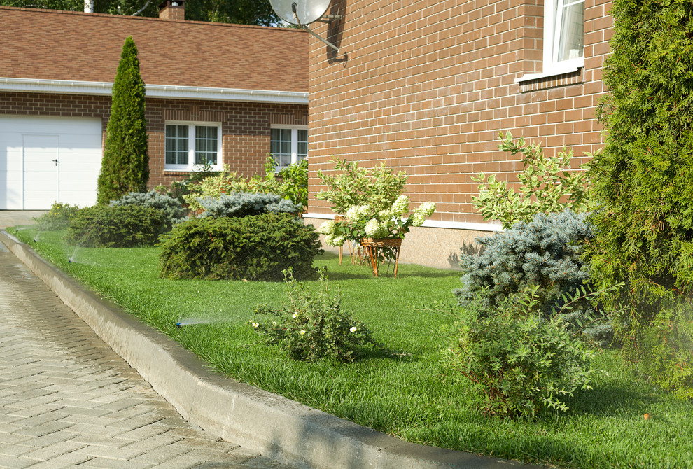 Вавиловец 1