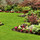 Duncans Gardening & Landscaping Inc.
