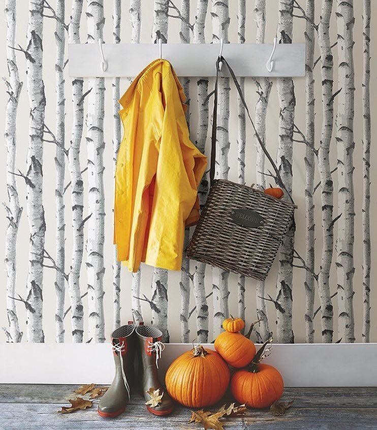 Example of a mountain style entryway design in Seattle