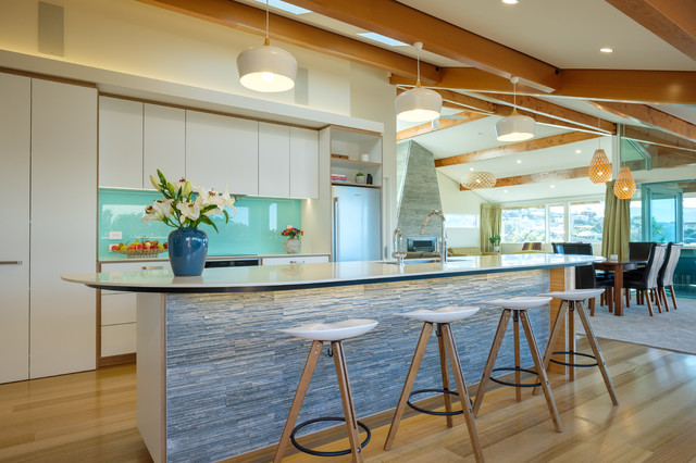 Dunedin Renovation modern-kitchen
