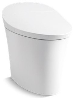 Veil(TM) Intelligent skirted one-piece elongated dual-flush toilet