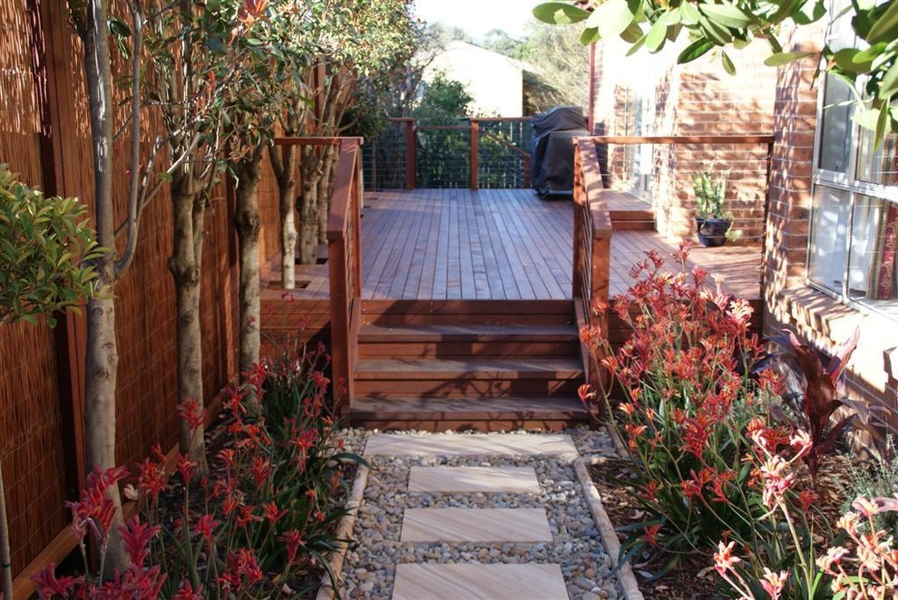 This is an example of a contemporary garden in Sydney with a garden path and decking.