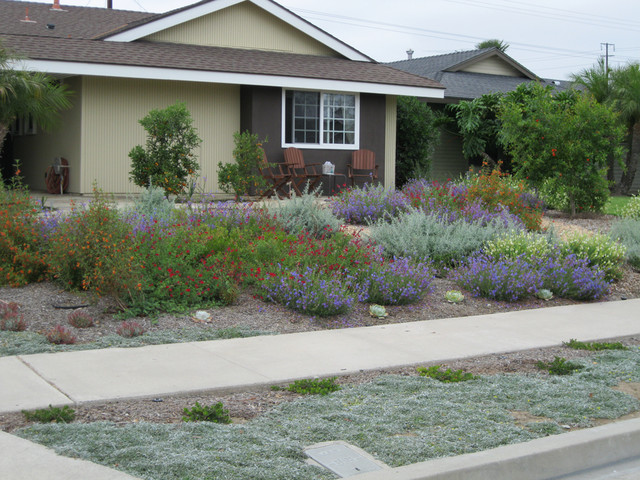 Colorful Fountain Valley Native Front Yard - Mediterranean - Landscape