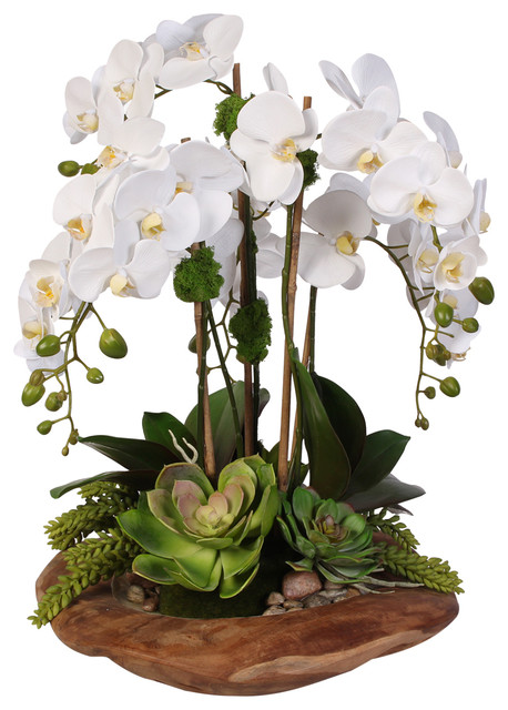 Real Touch 6 Stem Phalaenopsis Silk Orchids With Succulents In Natural Wood Bowl Rustic 2075