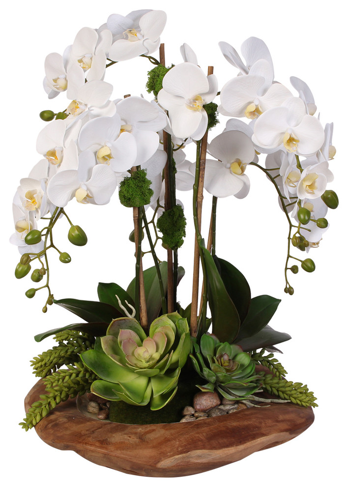 Real Touch 6 Stem Phalaenopsis Silk Orchids With Succulents In Natural Wood Bowl Rustic 8477