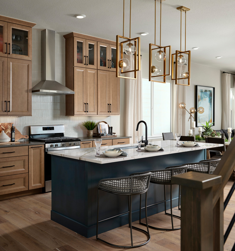 Kitchen - transitional kitchen idea in Denver