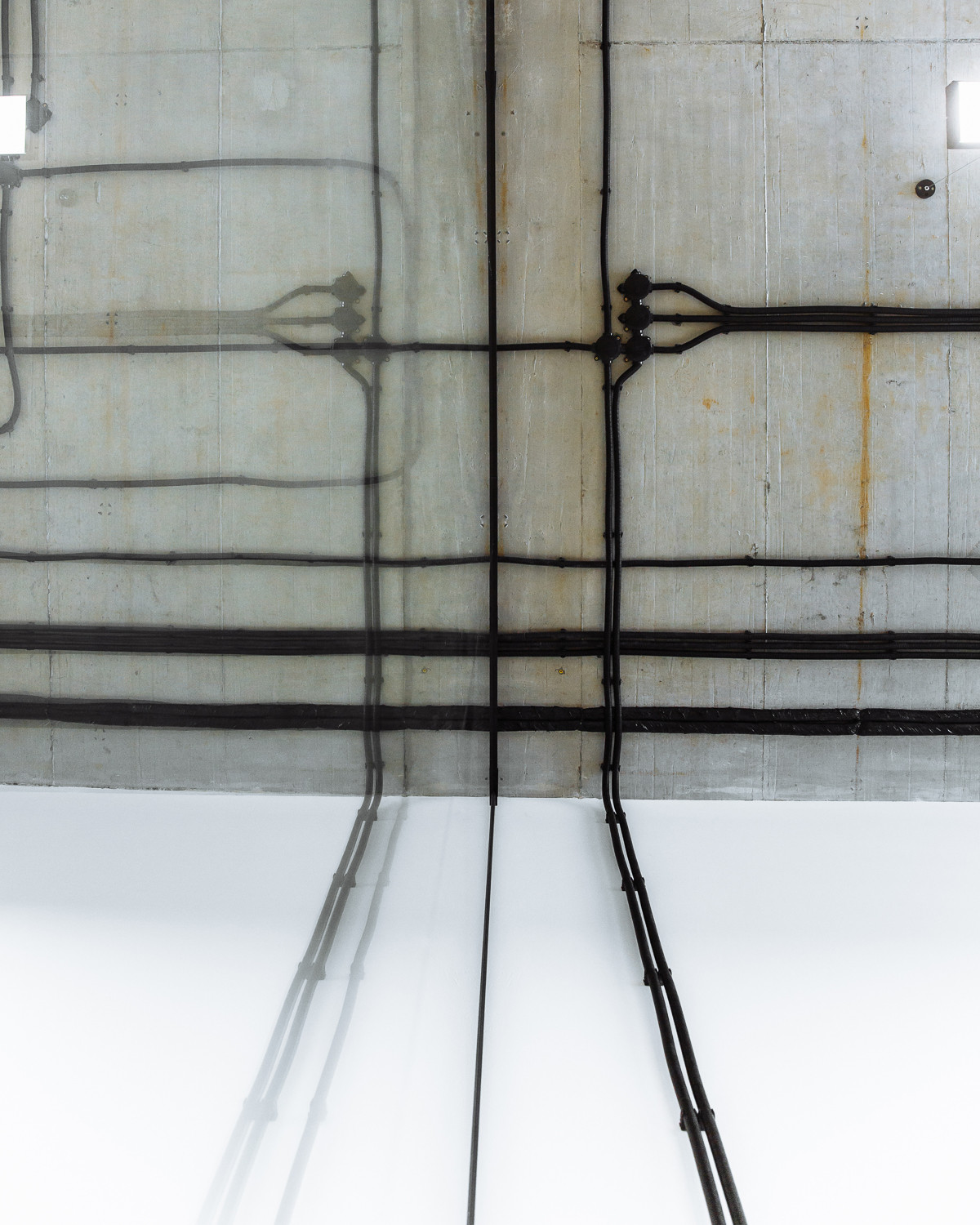 Build project. Office it company