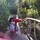 carlos_rodriguez57