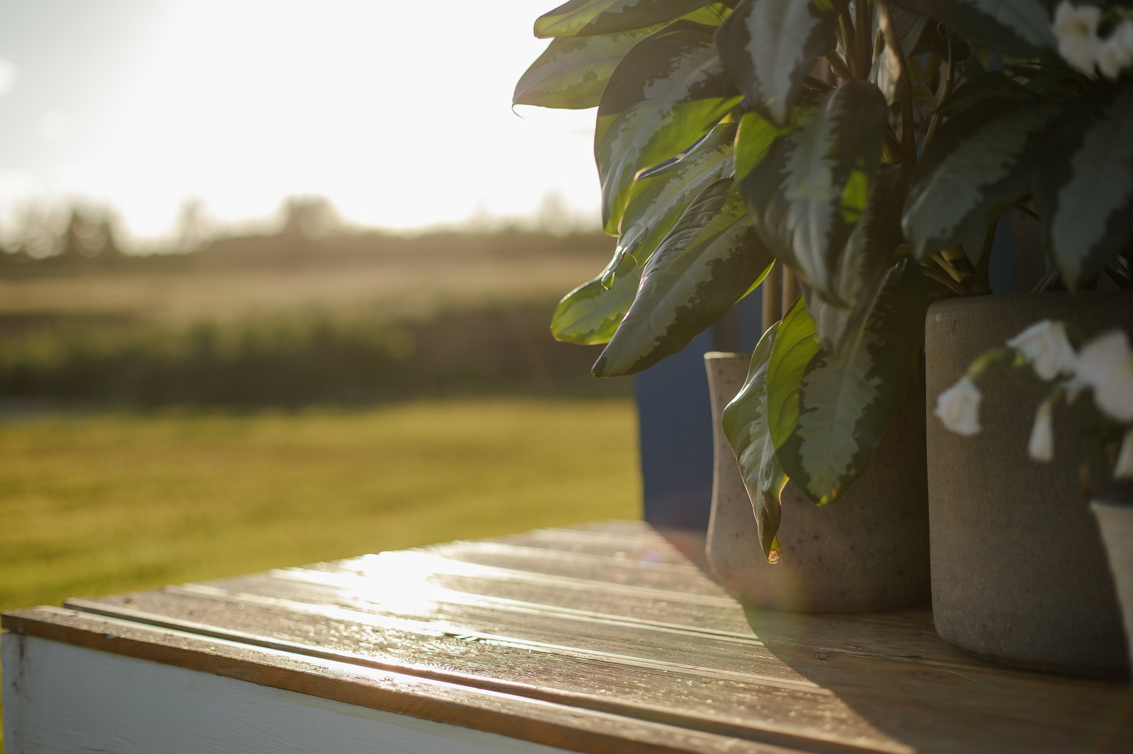 Concept House Store проект 2К двойной брус