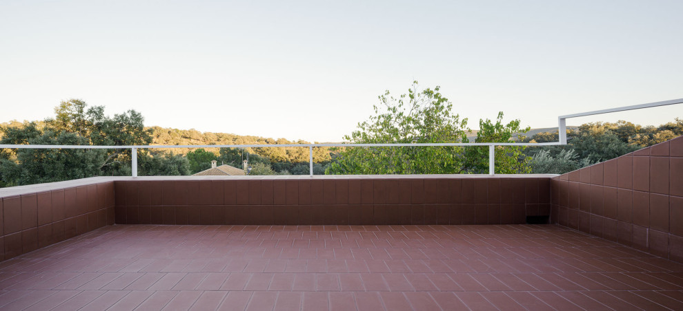 Diseño de terraza in azotea With barandilla de metal