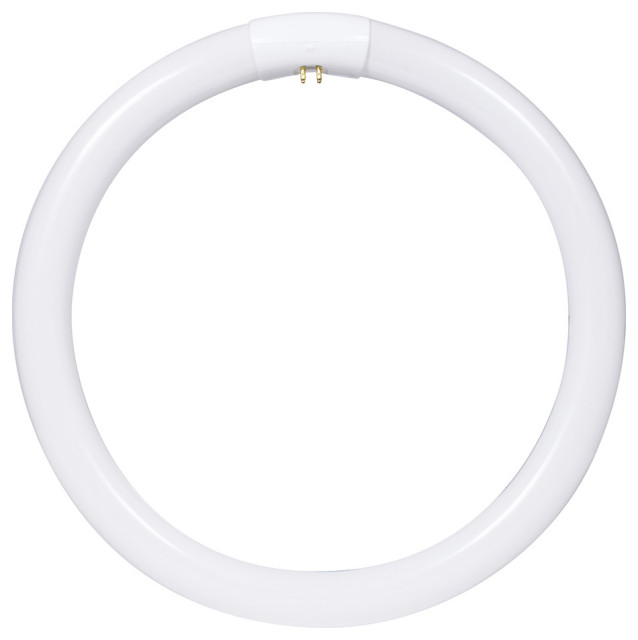 Sunlite 05039 FC12T9/DL T9 Round Fluorescent Circline Lamp, 32 Watts 1750 Lumens 6500k Daylight Rohs Compliant G10q 4 Pin Base 1 Pack