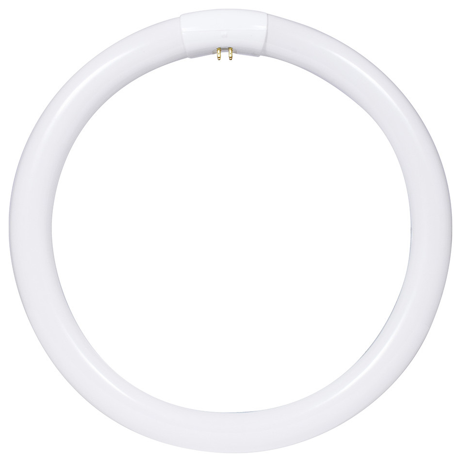 Sunlite 05039 FC12T9/DL T9 Round Fluorescent Circline Lamp, 32 Watts 1750 Lumens 6500k Daylight Rohs Compliant G10q 4 Pin Base 1 Pack