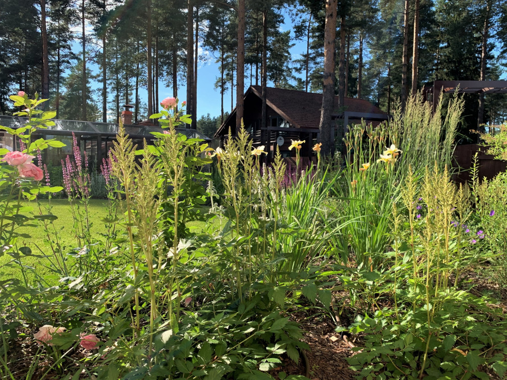 На солнечной поляне