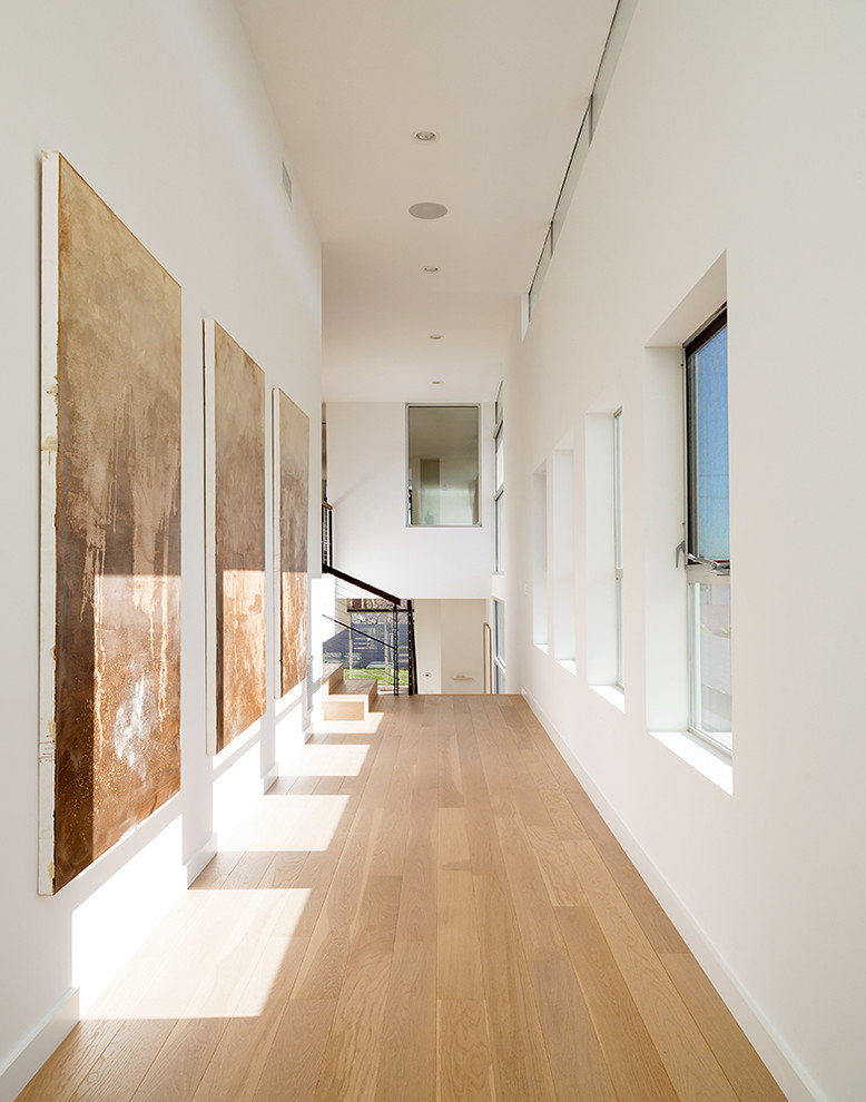 Design ideas for a contemporary hallway in Los Angeles with white walls and light hardwood floors.