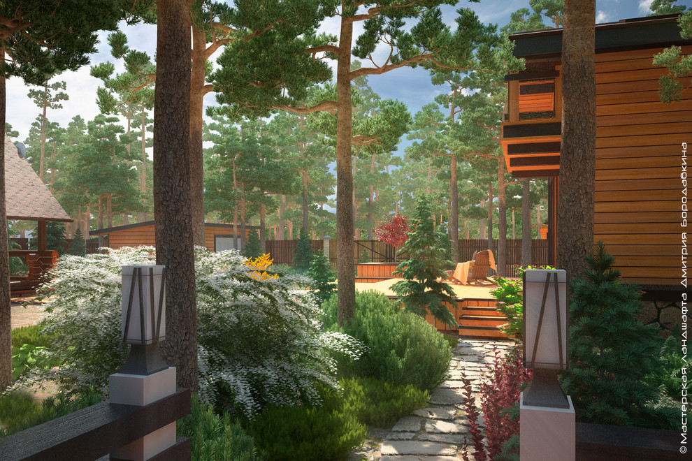 Утро в сосновом лесу