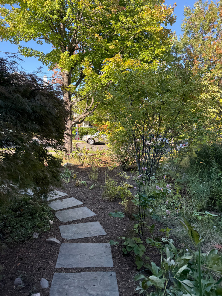DC Native Gardens