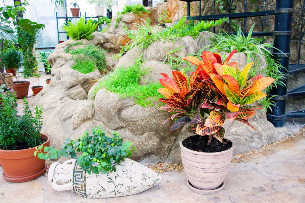 Тарасовка, зимний сад, 2012-2013 гг.