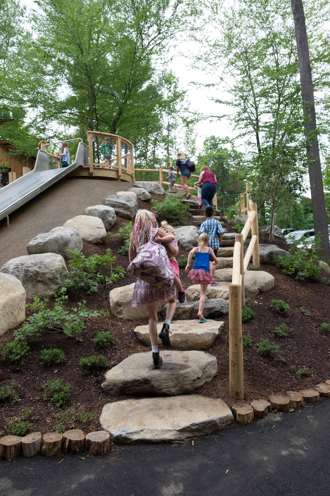 Discovery Woods