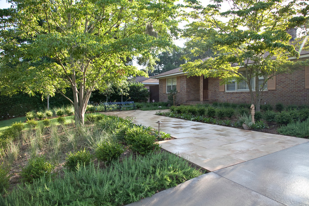 Design ideas for a modern courtyard garden in Charleston with a garden path and concrete pavers.